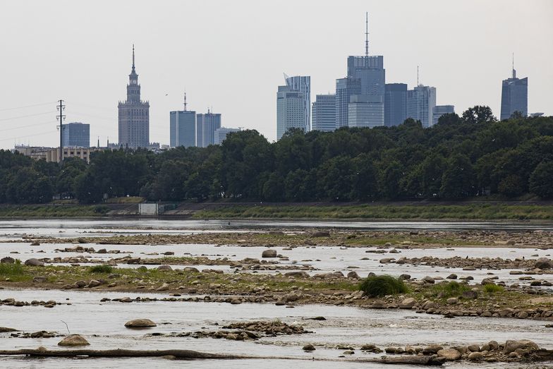 Polacy odczują suszę w swoich portfelach. "Problem z wodą będzie narastał"