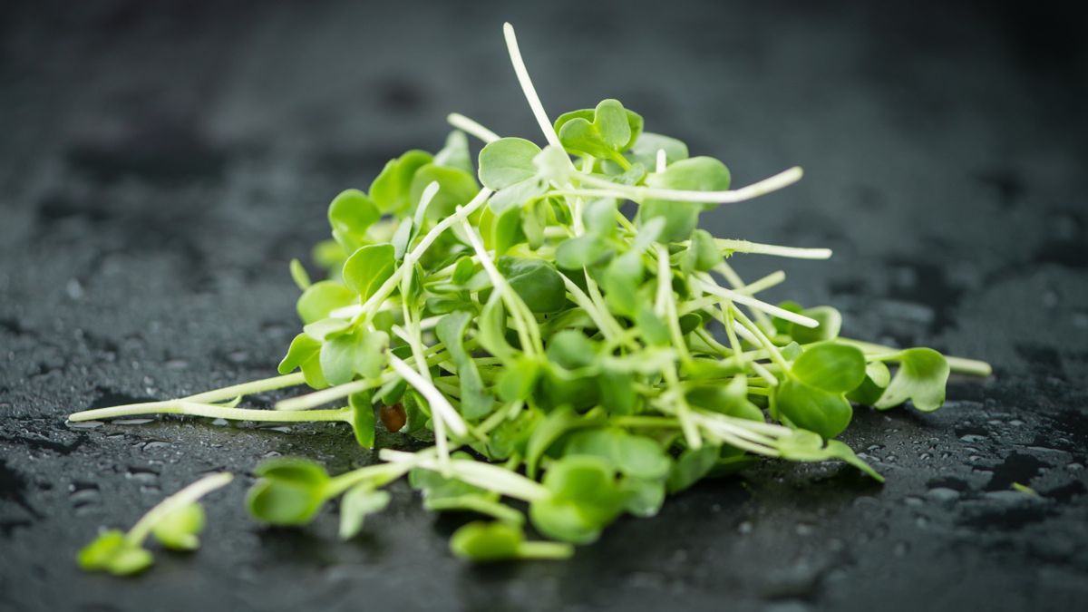 Jakie właściwości ma rzeżucha?