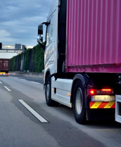 Ten ryż miał trafić do Polski. Służby interweniowały. Tragiczna jakość