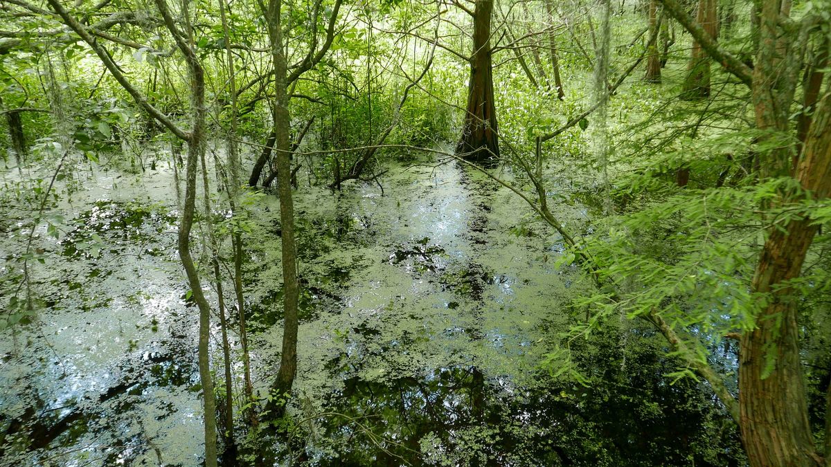 Chłopcy pomogli mężczyźnie uwięzionemu na mokradłach. Zdj. ilustracyjne 