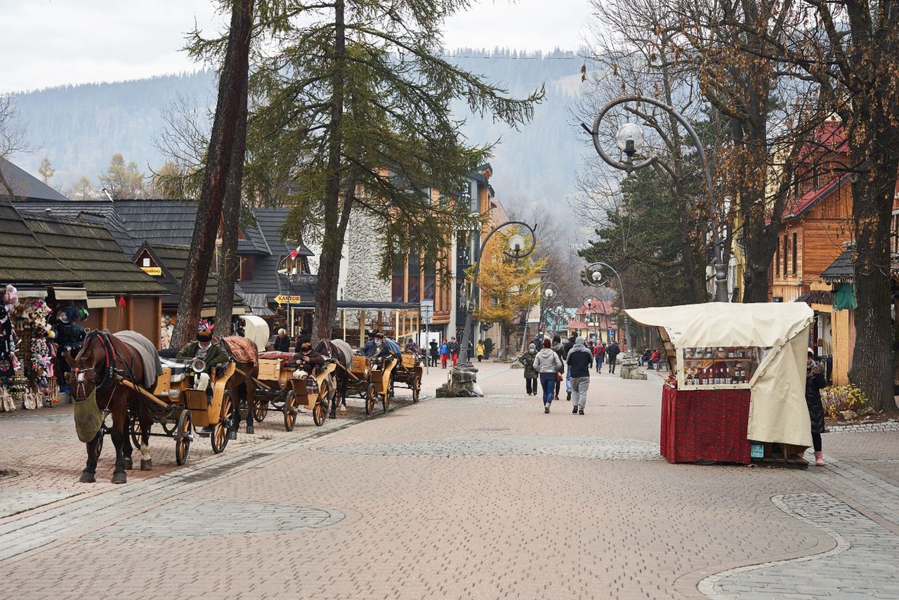 Zakopane stawia tamę deweloperom. Radni przyjęli ważną uchwałę