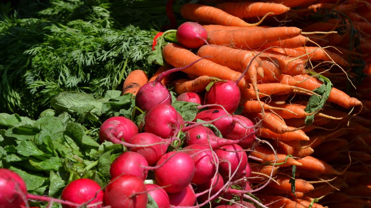 Jak zmieniły się ceny warzyw? Oto dane z paragonów Polaków