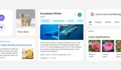 Google szykuje zmiany w mobilnej wyszukiwarce. Ma być ładniej i bardziej czytelnie