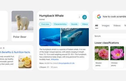 Google szykuje zmiany w mobilnej wyszukiwarce. Ma być ładniej i bardziej czytelnie