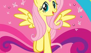 Fluttershy i Fantastyczny Festiwal Futrzaków