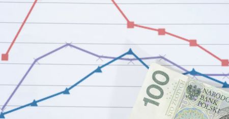 Polska na tle strefy euro. Zaskakujące dane Banku Światowego