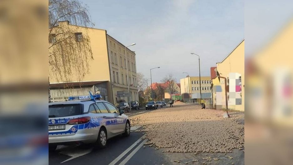 16 ton ziemniaków wypadło na drogę. Kierowca ciągnika był nietrzeźwy