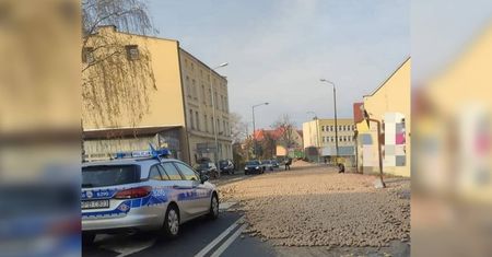 16 ton ziemniaków wypadło na drogę. Kierowca ciągnika był nietrzeźwy