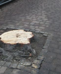 Katowice. Marcin Krupa oburzony. Prezydent miasta zapowiada zgłoszenie do prokuratury