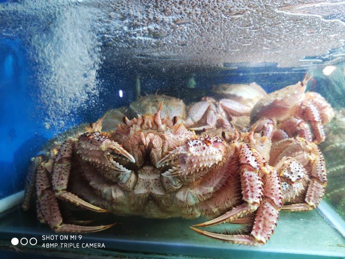 #wSkrócie: Xiaomi Mi 9 i Samsung Galaxy S10 Plus na zdjęciach oraz smartfon z baterią 18 000 mAh 7