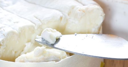 Wygląda niepozornie i zalega w sklepowych lodówkach. Uchodzi za tłusty, ale to solidna porcja białka