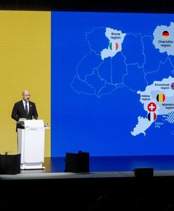 Premier Ukrainy ujawnia. Polska ma pomóc w odbudowie tego regionu Ukrainy