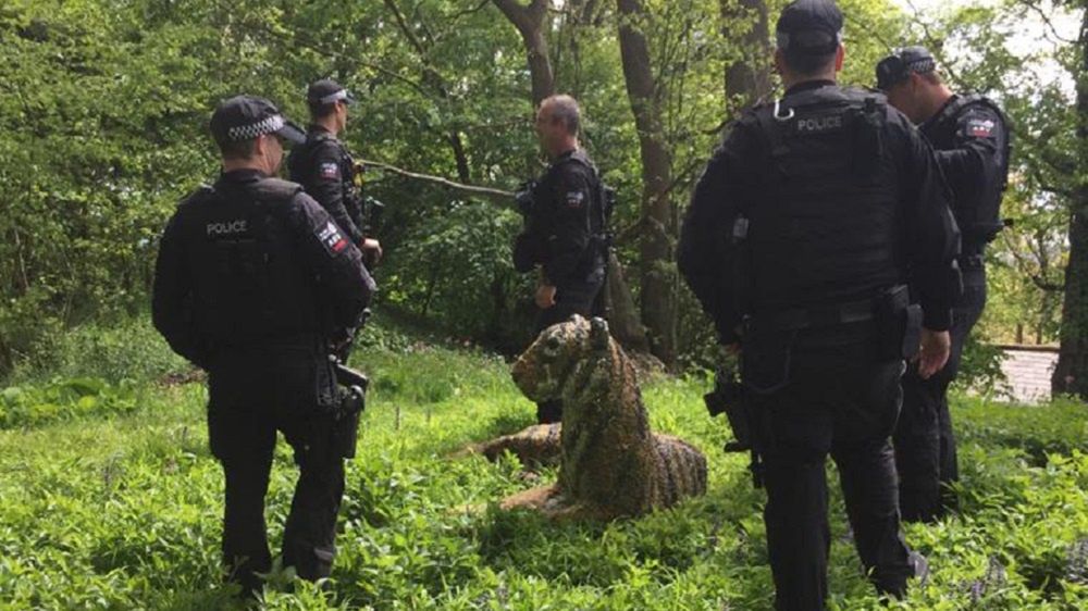 Rzeźba tygrysa w hrabstwie Kent w Anglii.