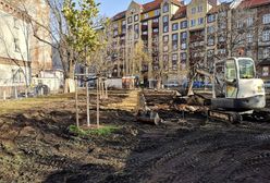 Wrocław. Epidemia nie zatrzymała zielonych inwestycji. Wydano ponad 20 mln zł