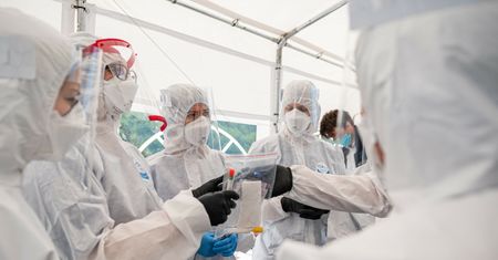 W niecały rok liczba testów wzrosła ponad stukrotnie. Wyniki rzadko trafiają do systemu