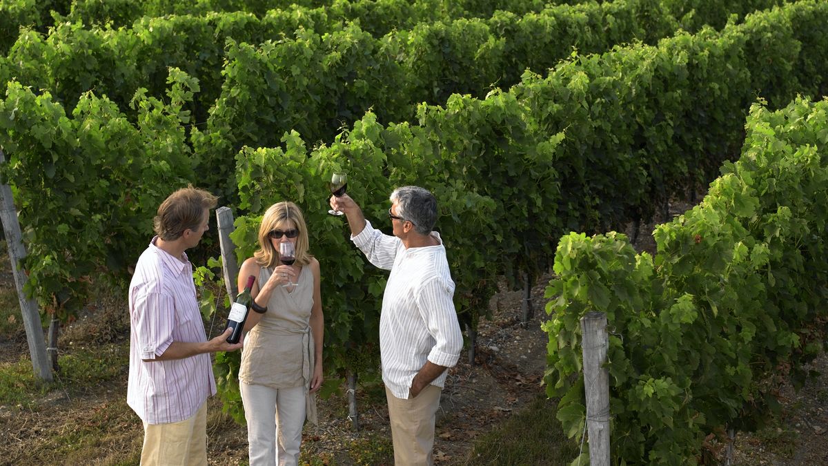 Rząd Francji wyda 200 mln euro na zniszczenie nadwyżek wina