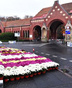 Wszystkich Świętych 2020. Zamknięte cmentarze 1 listopada