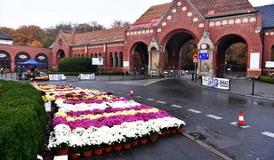 Wszystkich Świętych 2020. Zamknięte cmentarze 1 listopada