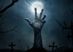 TVN 7 HD Smętarz dla zwierzaków