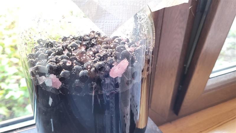 Aronia to owoc o niezwykłych właściwościach