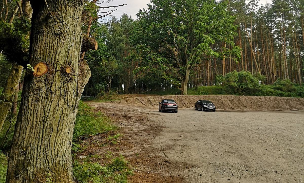 Członkowie "Obozu dla Mierzei Wiślanej" przypadkiem odkryli wycinkę drzew niedaleko inwestycji