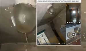 Dramat mieszkańców Gdańska. "Woda leje się z sufitu, po ścianach, z lamp"