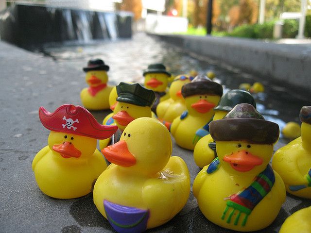 Kto pójdzie za piratem? (Fot. Flickr/ Yodel Anecdotal/Lic. CC by)