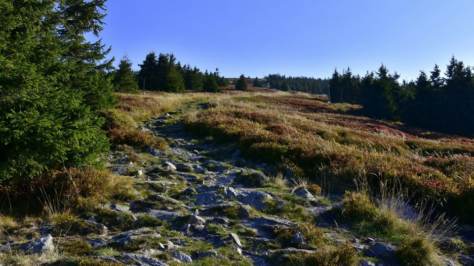 Spór Polska-Czechy. Wieża widokowa kością niezgody 