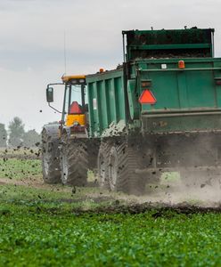 Rolnicy z Ukrainy już liczą straty. Wymarzły setki hektarów