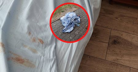 "Proszę odebrać telefon". Wyjechali z Ustki. Kobieta zrobiła zdjęcia