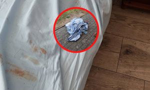 "Proszę odebrać telefon". Wyjechali z Ustki. Kobieta zrobiła zdjęcia