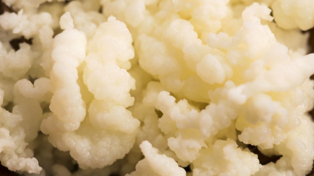 Jedzenie bogate w błonnik i probiotyki zmniejsza ryzyko rozwoju raka