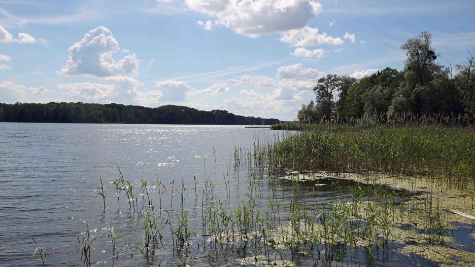 Brodnica. Z jeziora Niskie Brodno wyłowiono ciało 43-latki 