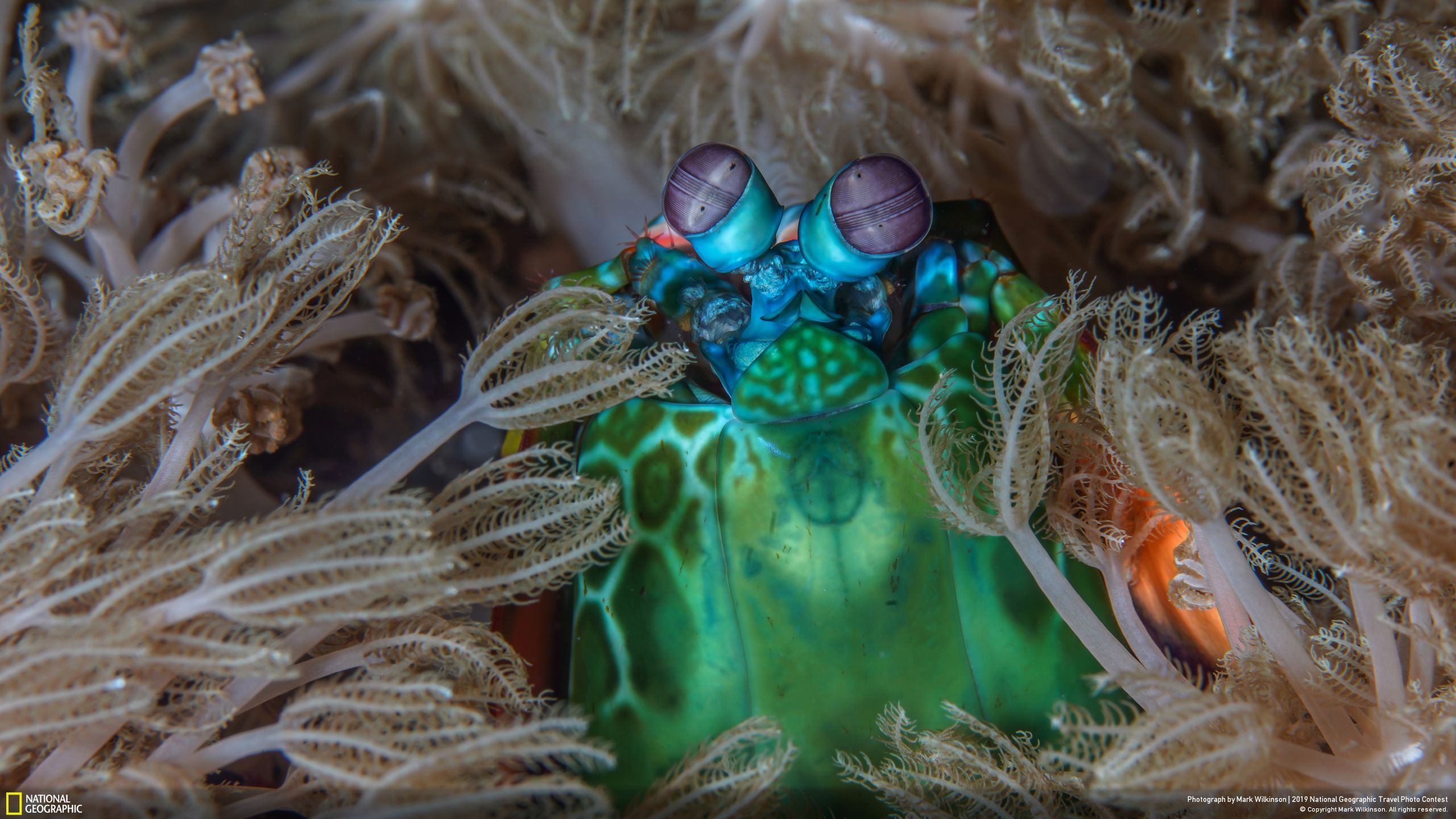 Niesamowite zdjęcia finalistów National Geographic Travel Contest 2019 27