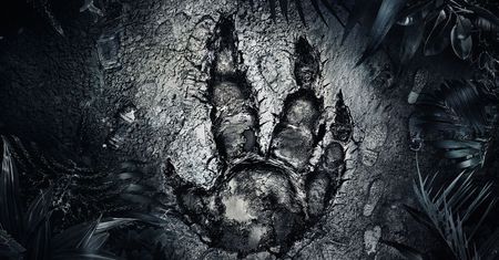 Wsparcie dla Evolve jednak zakończone