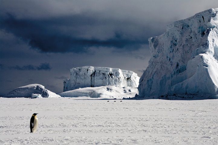 Piękne zdjęcia lodowców i okropna prawda o zmianach klimatu 13