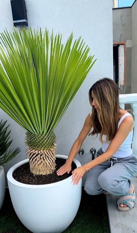 Rozenek osobiście dosypywała ziemię do kwiatów