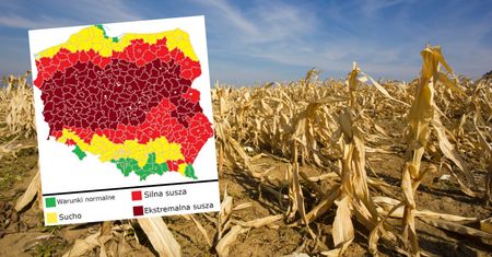 Pokazali mapę Polski. Niepokojące wieści. "Będzie narastać"