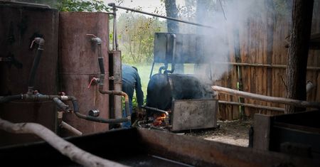 Leśna fabryka bimbru zlikwidowana. Produkowała 3 tys. litrów tygodniowo