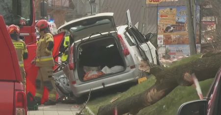 Koszmar w Tatrach. Drzewo spadło na samochód. 23-latka nie żyje