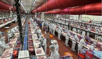 Smithfield Foods może przejąć Pini Polonia. Zgoda UOKiK na połączenie producentów mięsa