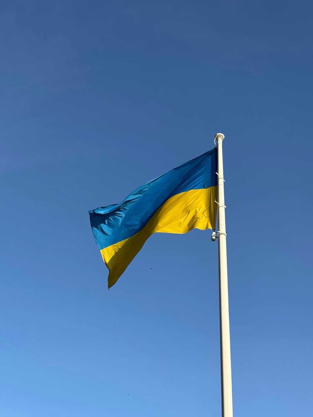 1000 dni wojny na Ukrainie, uroczyste podniesienie flagi w Lublinie