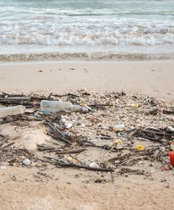Mielno ma problem. Śmieci na plażach przyciągają dziki