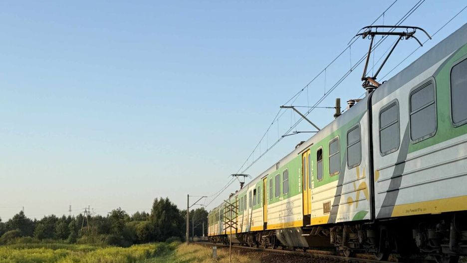 Pociąg elektryczny w zielono-żółtych barwach przejeżdża wzdłuż torów otoczonych bujną roślinnością.