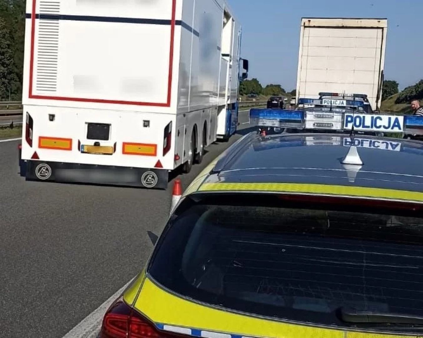 fot. za: Codzienny Poznań