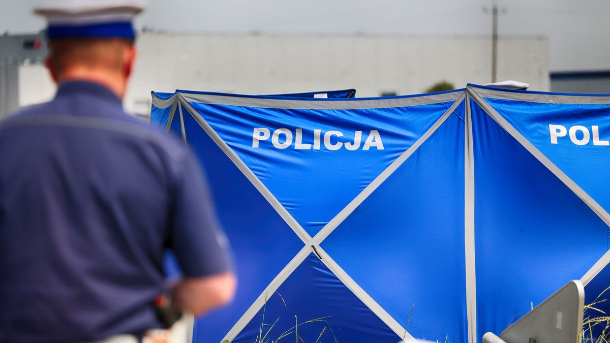 DAREK11
parawan, policyjny, polska, policja, drogówka, wypadek, samochodowy, niebieski, napis, ostrzegawcze, oznaczenie, znak, symbol, kodeks, droga, ambulans, przewóz, awaryjny, ruch drogowy, podróż, furgonetka, ulica, ratowanie, autostrada, medyczne, jazda, drogowy, kolizja, krach, korek, drogowa, zdarzenie, drogowe, radiowóz, wieczór, noc, pomoc, ratunek, interwencja policji, taksówka, osoba