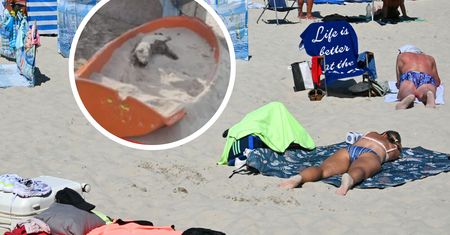 Przykre, co zastał na plaży w Ustce. Pokazał wymowne zdjęcie