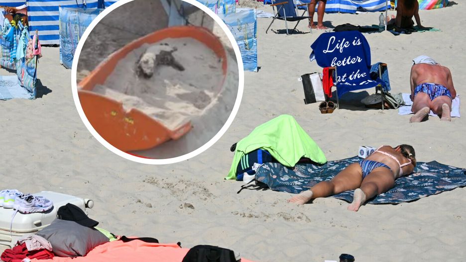 Ratownik pokazał, jakie szkody zostawiają plażowicze
