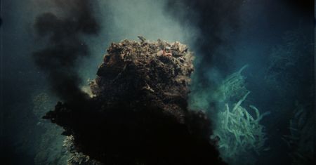 Znaleźli go 2 km pod powierzchnią oceanu. Był przy kominach hydrotermalnych