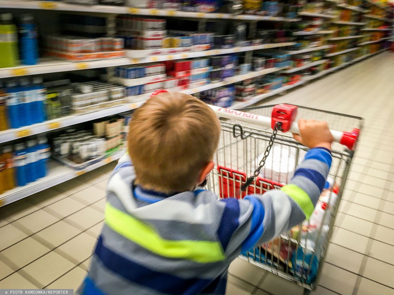 600 plus na dziecko? Większość Polaków tego chce